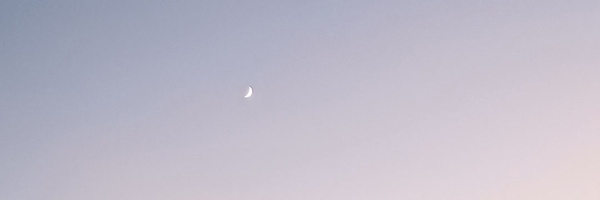 ‌زینب‌'s header picture