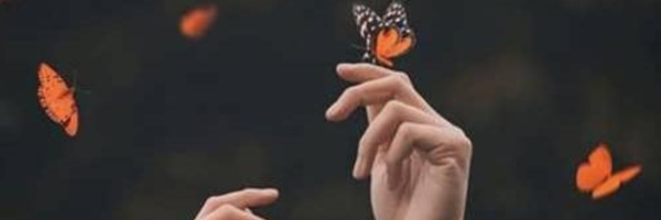 ‌نازنین سیما‌'s header picture