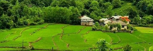 ‌اعظم احمدزاده‌'s header picture