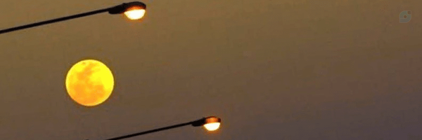 ‌اِبرامین‌'s header picture