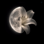 Profile picture of ‌Fateme‌