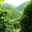 Profile picture of ‌ایران ایران‌