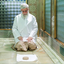Profile picture of ‌Habib Seifi‌