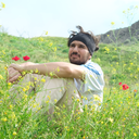 Profile picture of ‌حسن وش‌