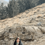 Profile picture of ‌افسانه خواجه صالحانی‌