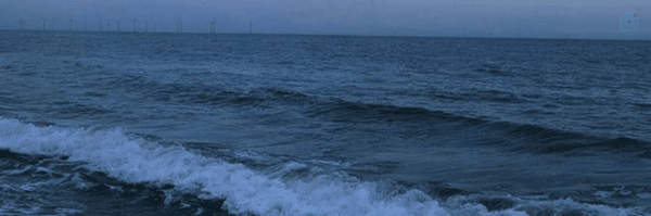 ‌روباه آبی‌'s header picture