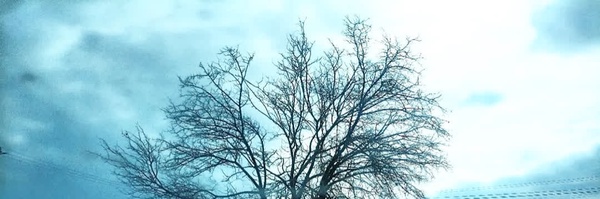 ‌زهراسادات امیری‌'s header picture