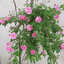 Profile picture of ‌mahdi abasi‌
