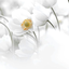 Profile picture of ‌Meiyou‌