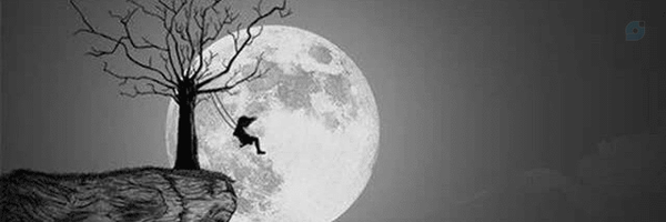 ‌سیده زینب‌'s header picture
