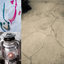Profile picture of ‌مهیار علمدار‌