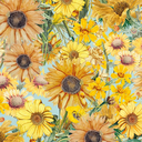 Profile picture of ‌Sari🌻✨️‌