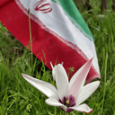 Profile picture of ‌erfan khalesinasab‌
