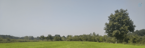 ‌پیمان نورزاده‌'s header picture