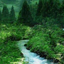 Profile picture of ‌سید‌