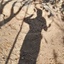 Profile picture of ‌دختر همت بابا‌