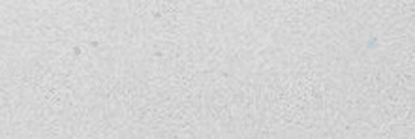 ‌آنْ کَني‌'s header picture