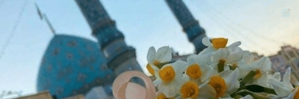 ‌ستاره رفیعی‌'s header picture