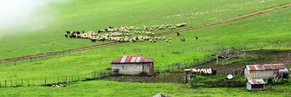 ‌کربلایی روزبه‌'s header picture