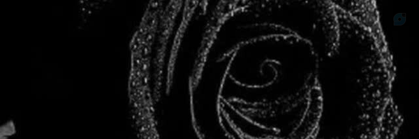 ‌اِلی‌'s header picture