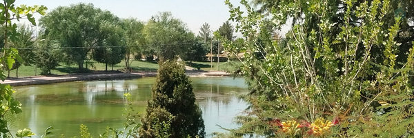 ‌محمدجواد قائدی‌'s header picture