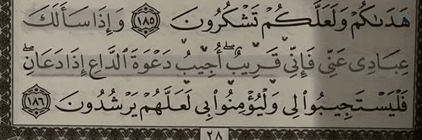 ‌M.h‌'s header picture