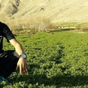 Profile picture of ‌mehrab mohamadi‌
