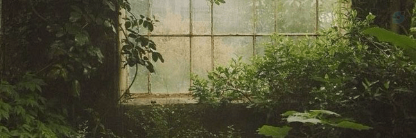 ‌سیدعلی موسوی‌اطهری‌'s header picture