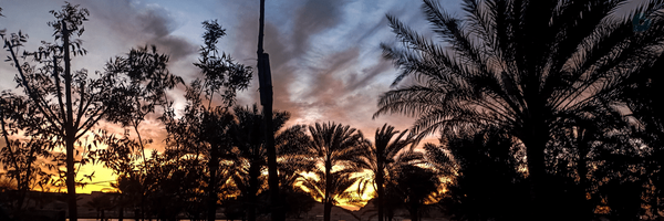 ‌Faz Horizon‌'s header picture