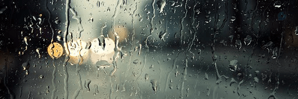 ‌NIMA d. v‌'s header picture