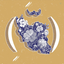 Profile picture of ‌Darya Vafaei‌