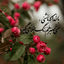 Profile picture of ‌محمد تقوی‌