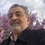 Profile picture of ‌محمدرضا مشکاتی‌