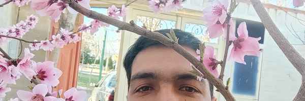 ‌احمد‌'s header picture