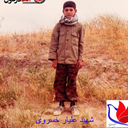 Profile picture of ‌روح اله سرداری‌