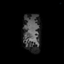 Profile picture of ‌عــلـے‌
