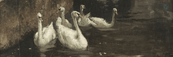 ‌ماهور‌'s header picture