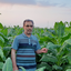 Profile picture of ‌مهدی سعیدی‌