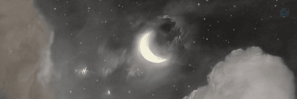 ‌دخترخانوم .‌'s header picture