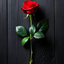 Profile picture of ‌فاطمه السادات ..‌
