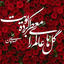 Profile picture of ‌دکتر امین‌