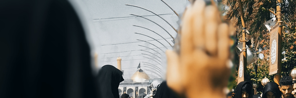‌Mohadeseh Nesab‌'s header picture
