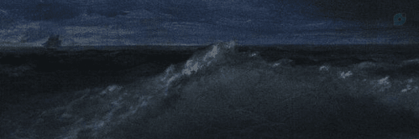 ‌Pájaro‌'s header picture