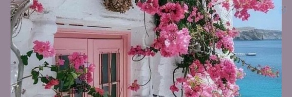 ‌لیلا کورش فرد‌'s header picture