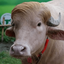 Profile picture of ‌President Donald J. Trump‌