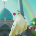 Profile picture of ‌بانوی ایرانی🇮🇷‌