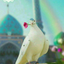 Profile picture of ‌بانوی ایرانی🇮🇷‌