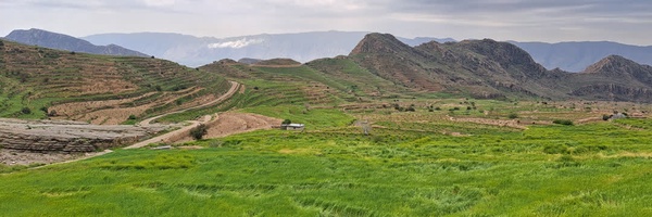 ‌یاسین‌'s header picture