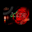 Profile picture of ‌🇮🇷محمد امیری🇮🇷‌