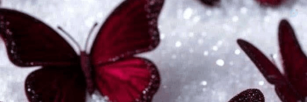 ‌چکاوک‌'s header picture